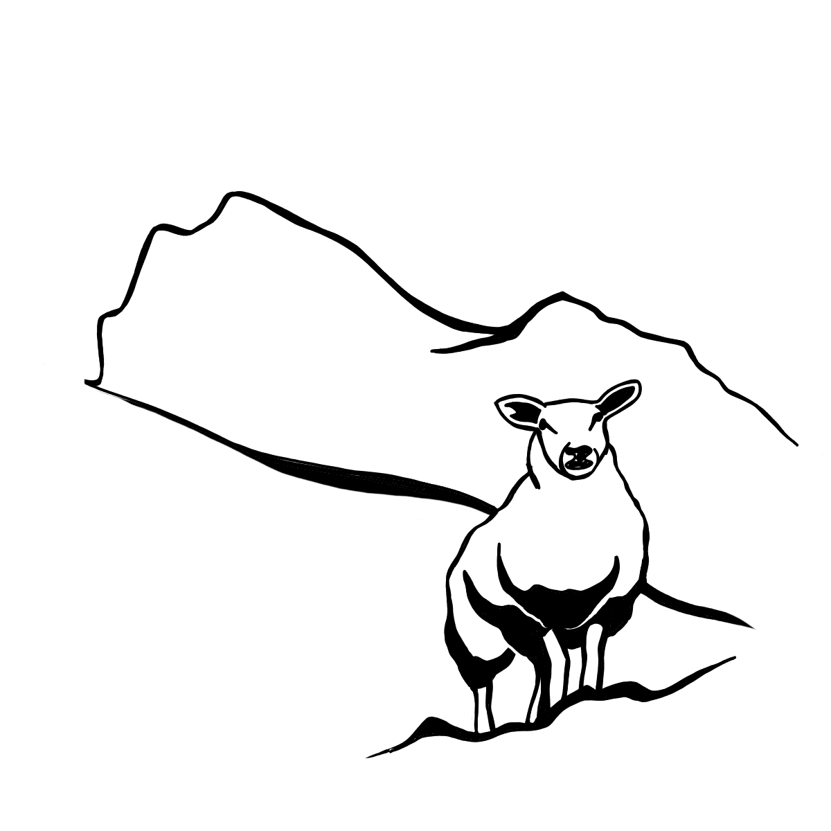 montagne-susanfe